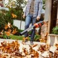 WORX WG584E 40Volt 2.0Ah. Li-ion Kömürsüz Profesyonel Devir Ayarlı Yaprak Üfleme